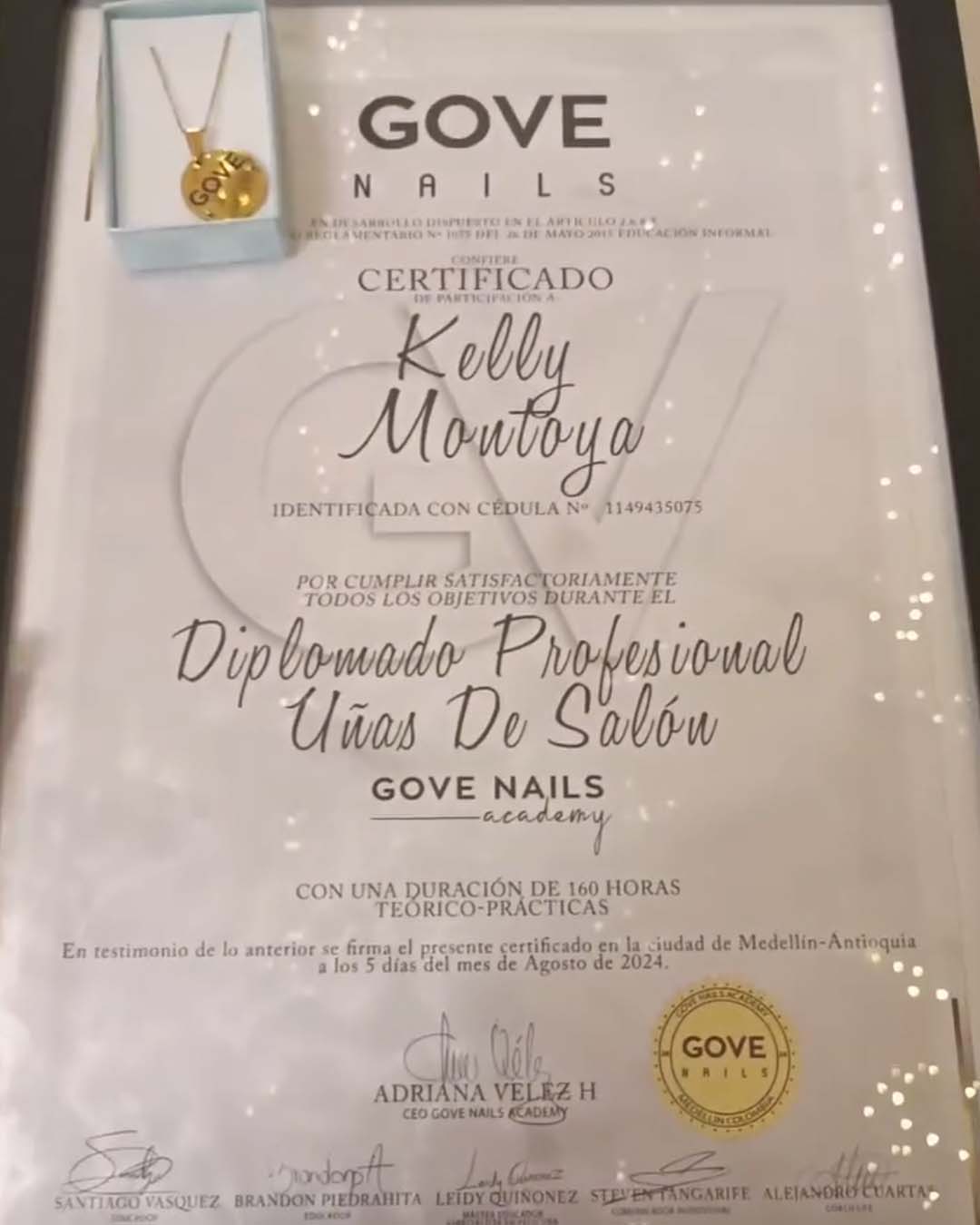 diplomado pro gove-01