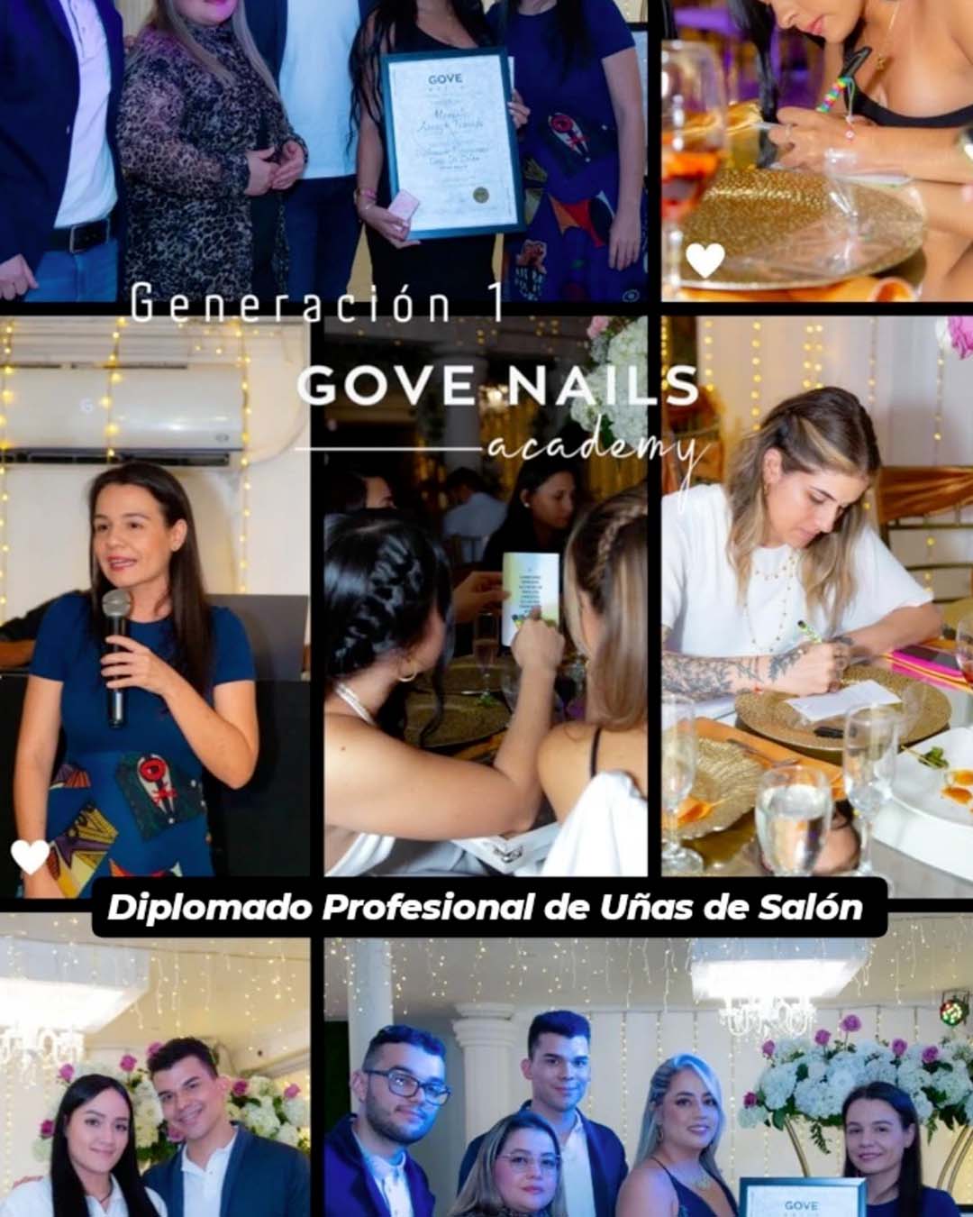 diplomado pro gove-06