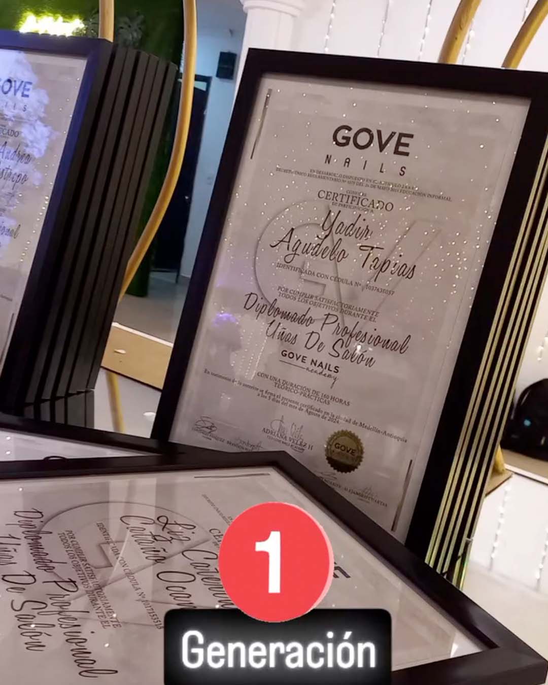 diplomado pro gove